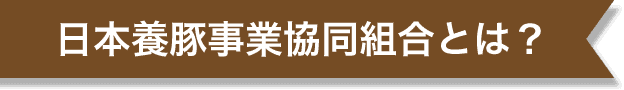 日本養豚事業協同組合とは？