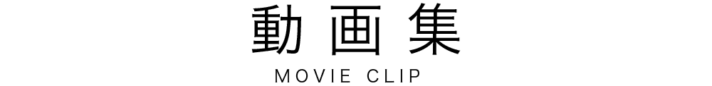動画集